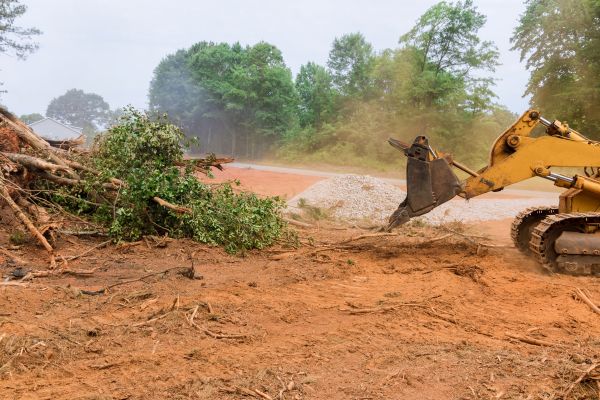 Ground Clearing in Laredo