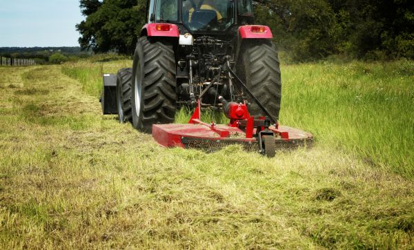 Brush Clearing Service in Laredo