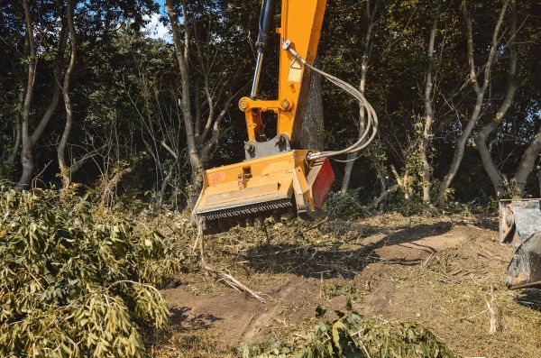 Brush Removal Service in Laredo