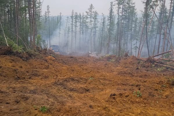 Cost of Hill Clearing in Laredo