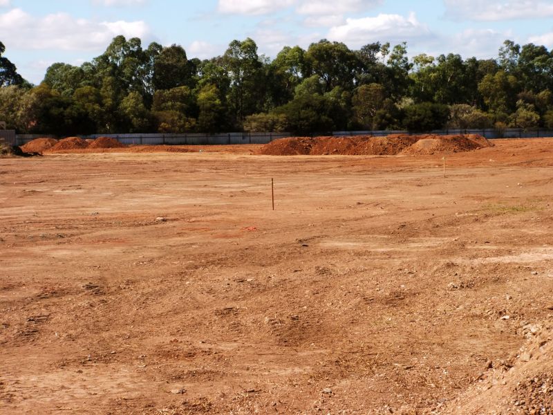 Finished Land Clearing Site